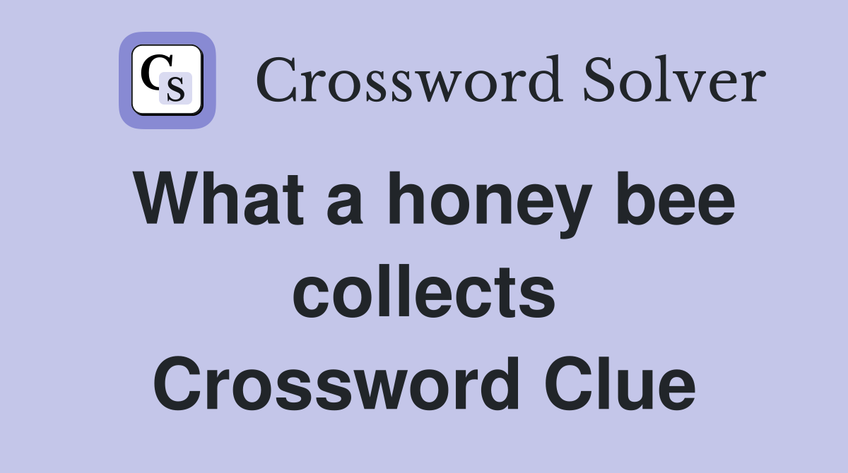 What a honey bee collects Crossword Clue