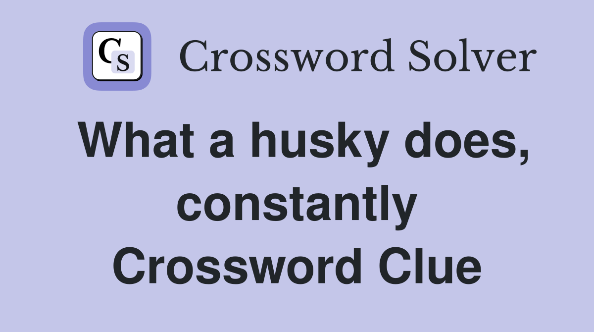 What a husky does, constantly Crossword Clue
