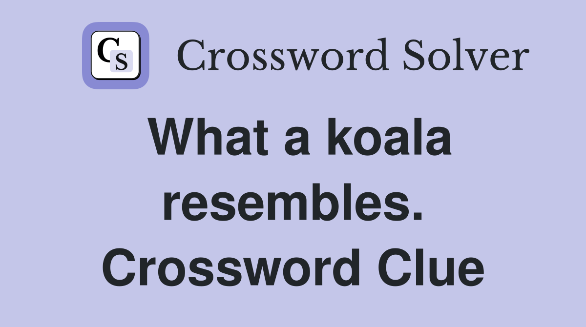 What a koala resembles. Crossword Clue