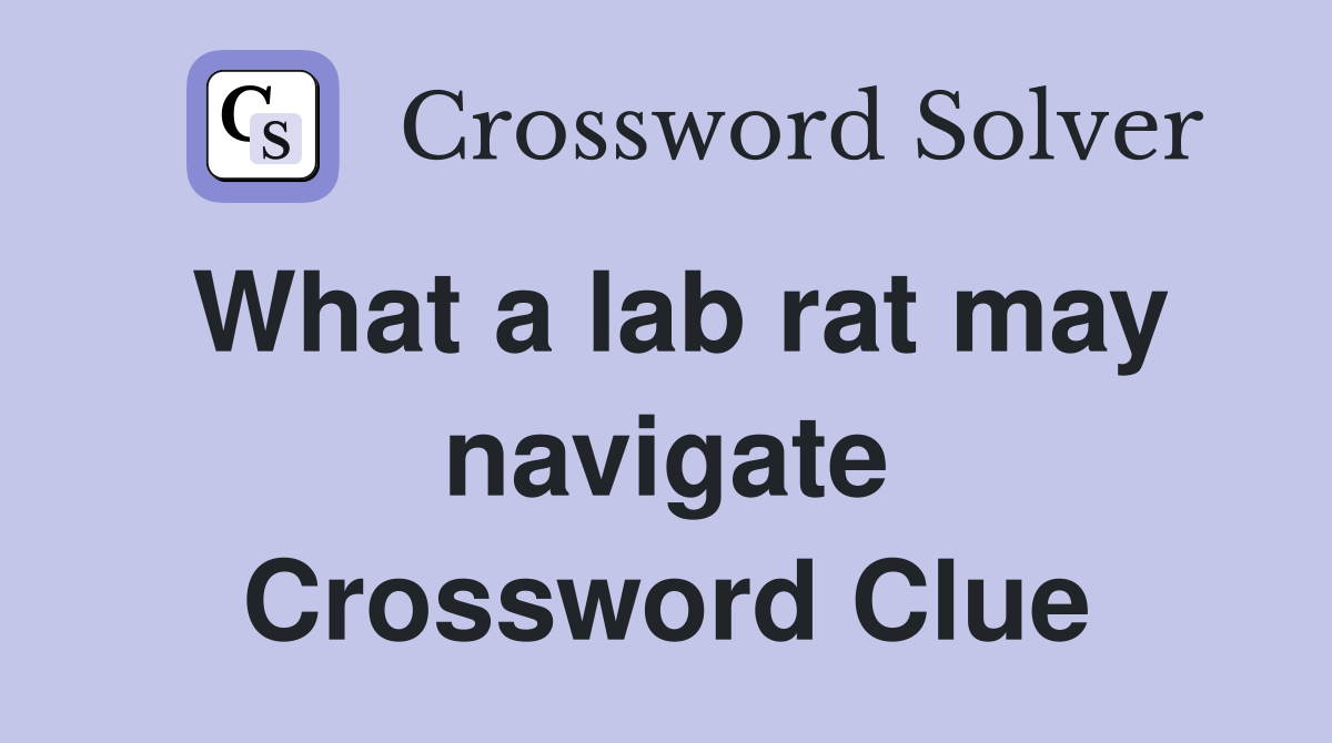 What a lab rat may navigate Crossword Clue