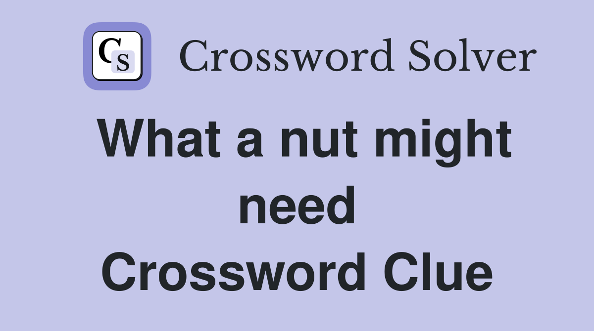 What a nut might need Crossword Clue