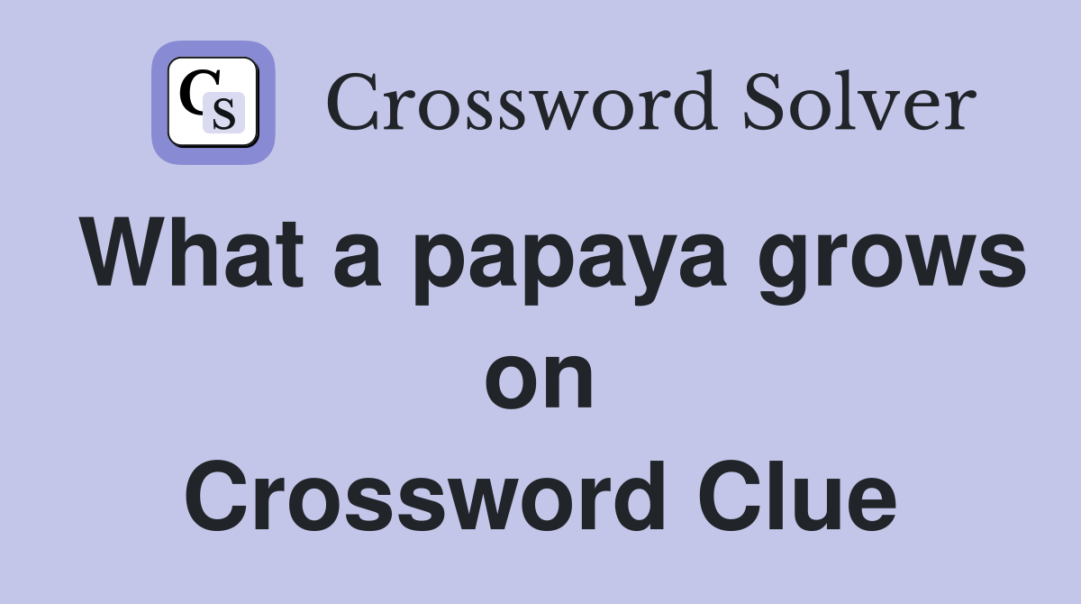 What a papaya grows on Crossword Clue