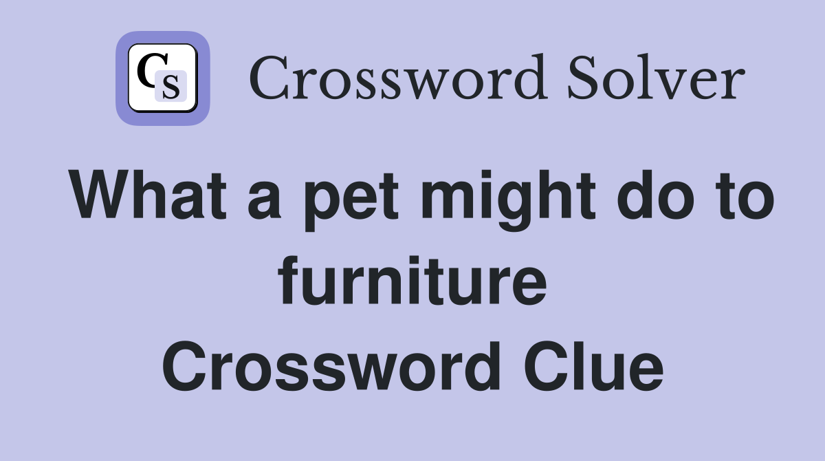 What a pet might do to furniture Crossword Clue