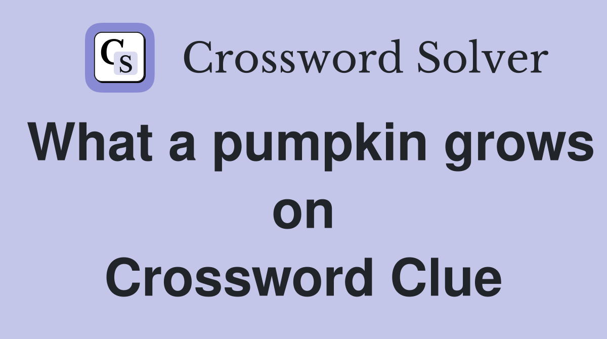 What a pumpkin grows on Crossword Clue