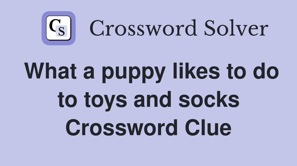 What a puppy likes to do to toys and socks Crossword Clue