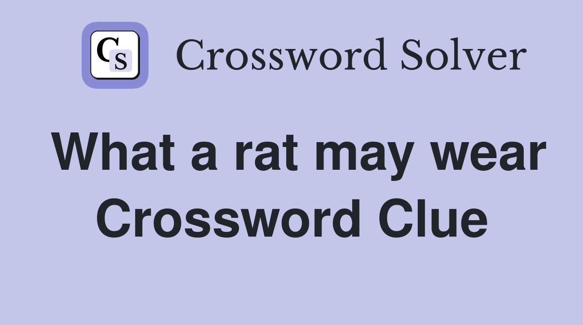 What a rat may wear Crossword Clue