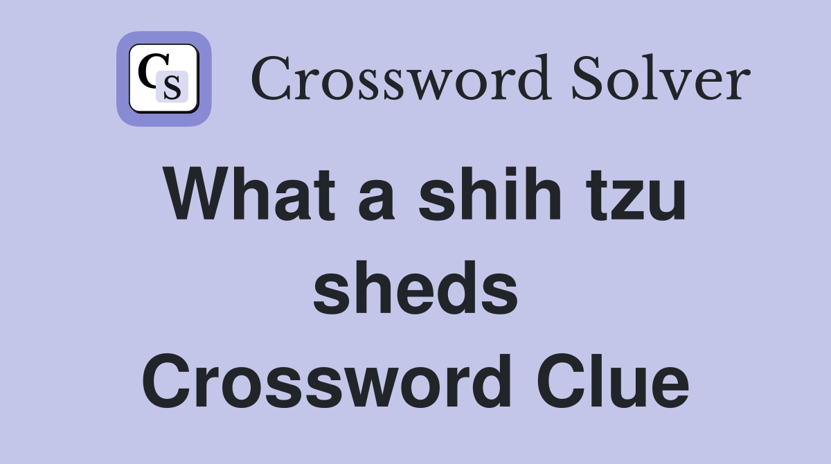 What a shih tzu sheds Crossword Clue