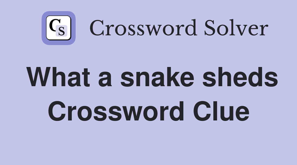 What a snake sheds Crossword Clue