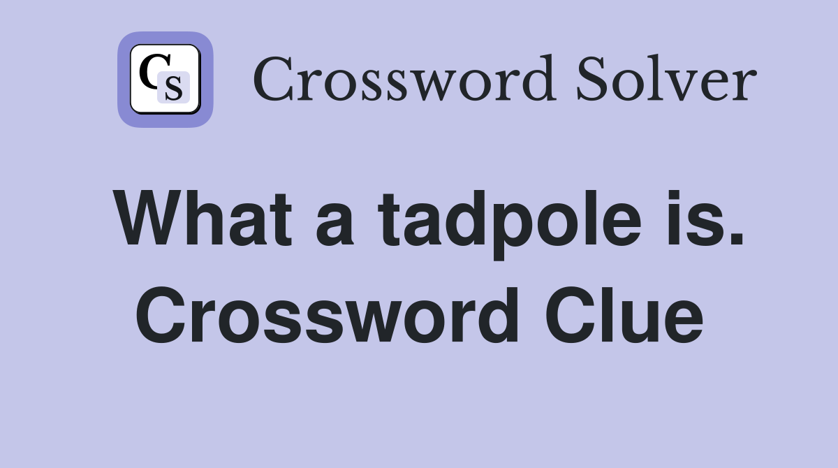 What a tadpole is. Crossword Clue