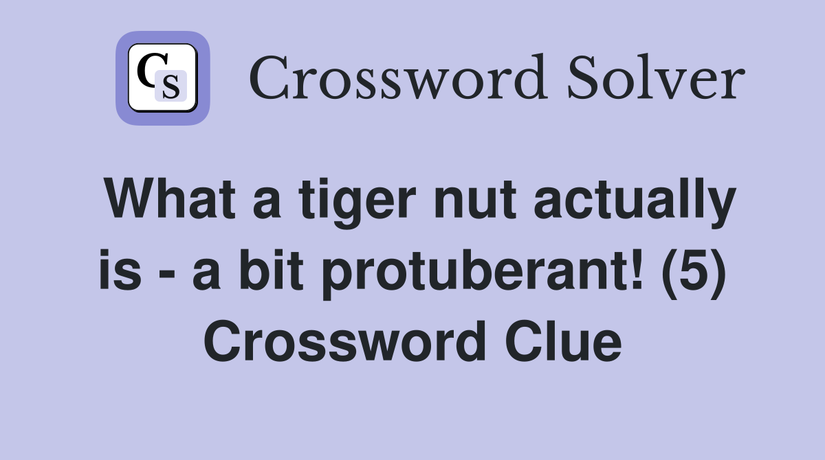What a tiger nut actually is - a bit protuberant! (5) Crossword Clue