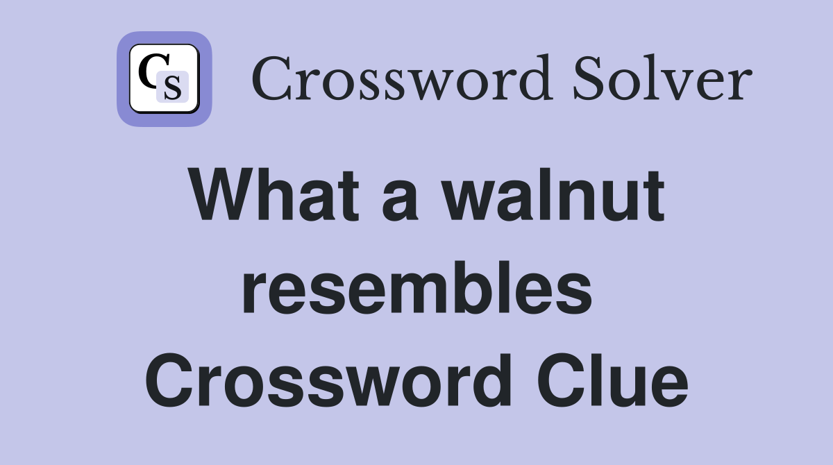 What a walnut resembles Crossword Clue