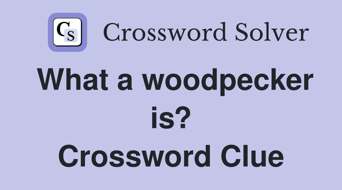 What a woodpecker is? Crossword Clue