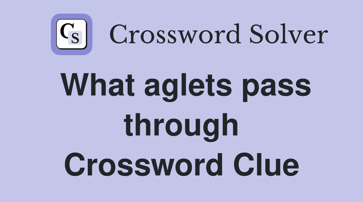 What aglets pass through Crossword Clue