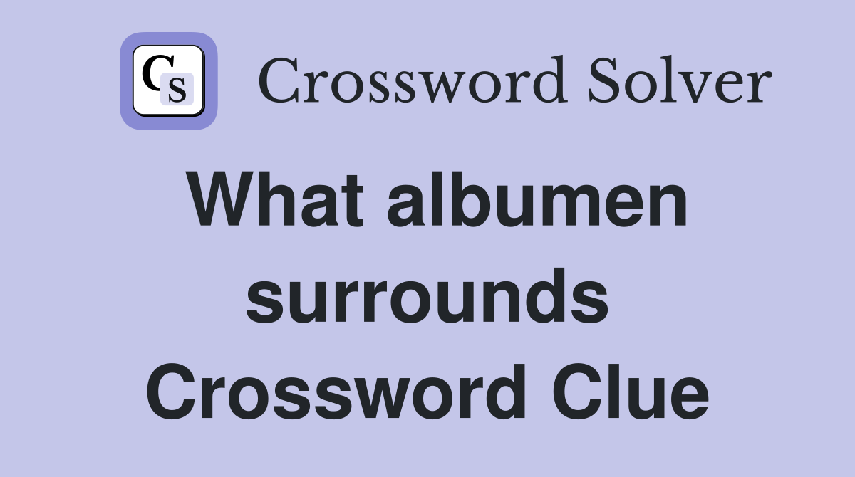 What albumen surrounds Crossword Clue