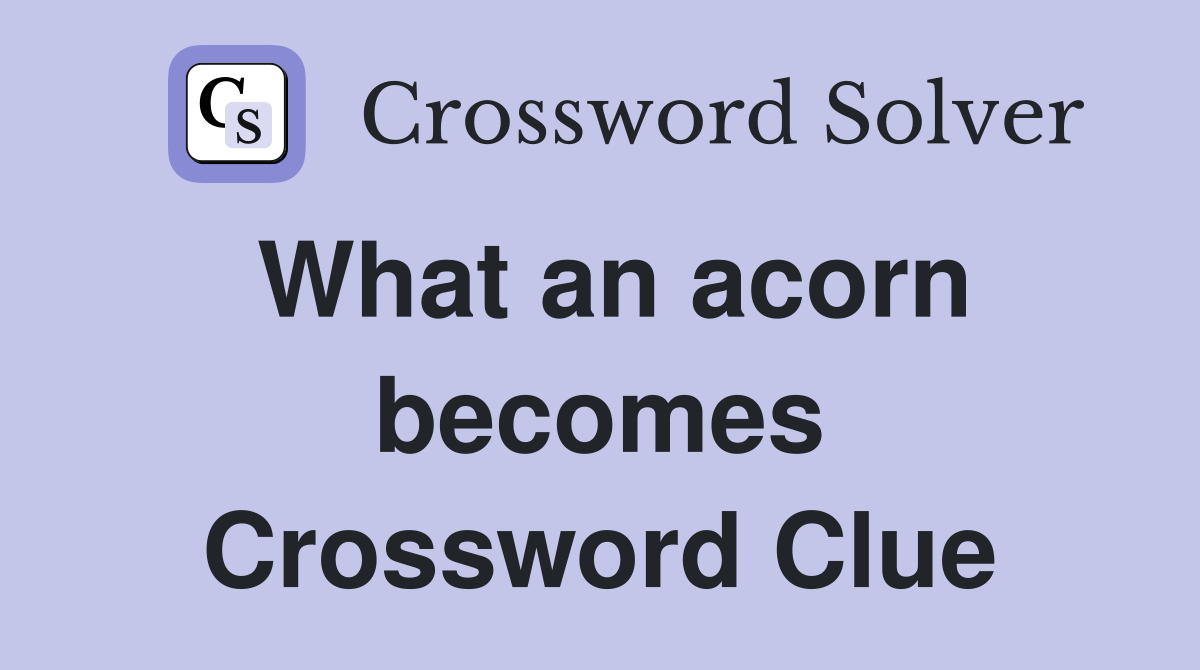 What an acorn becomes Crossword Clue