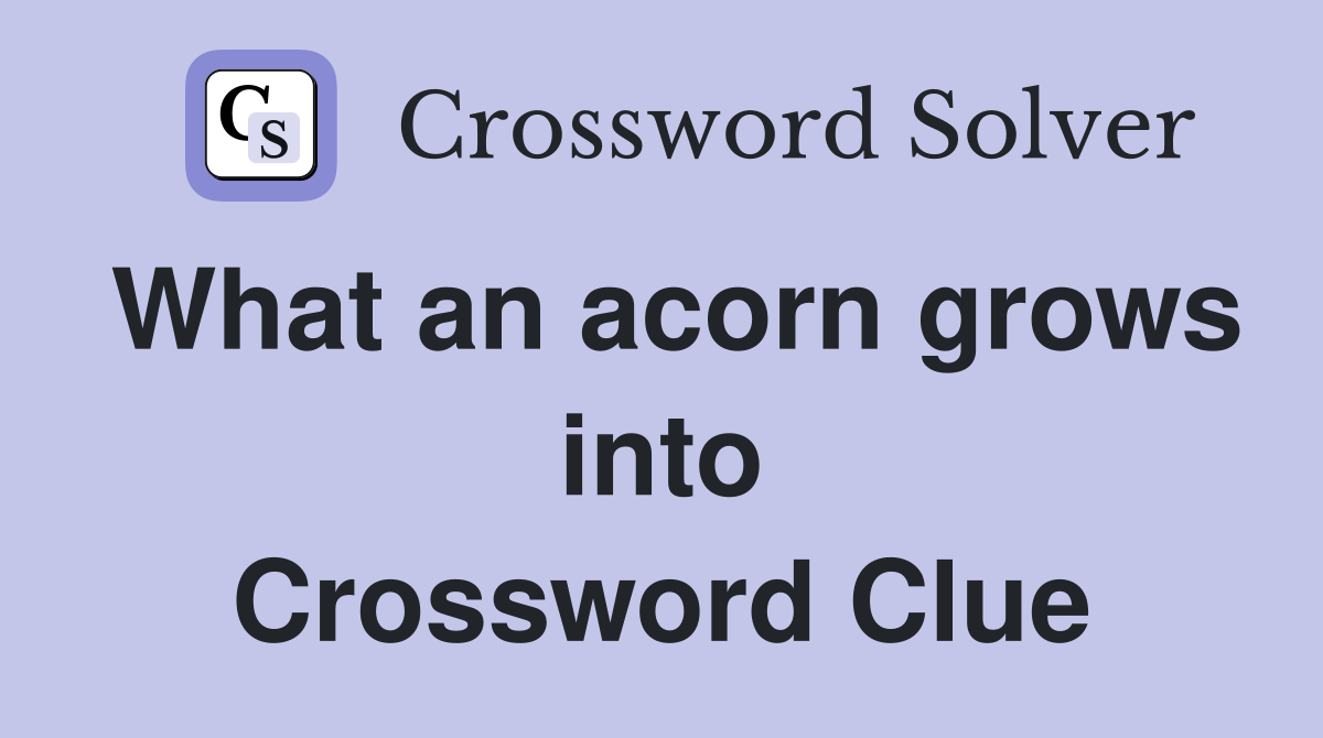 What an acorn grows into Crossword Clue