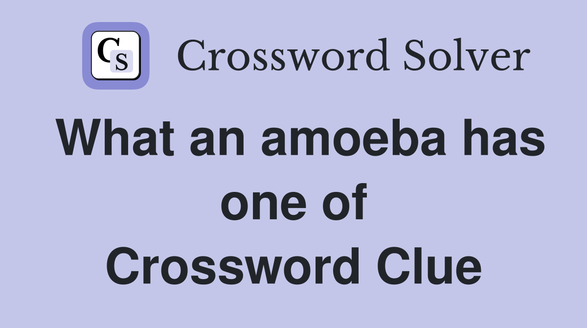 What an amoeba has one of Crossword Clue