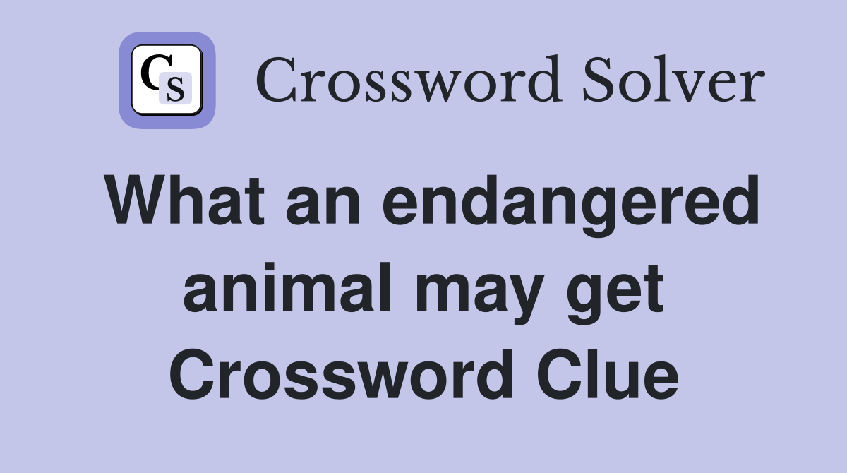 What an endangered animal may get Crossword Clue