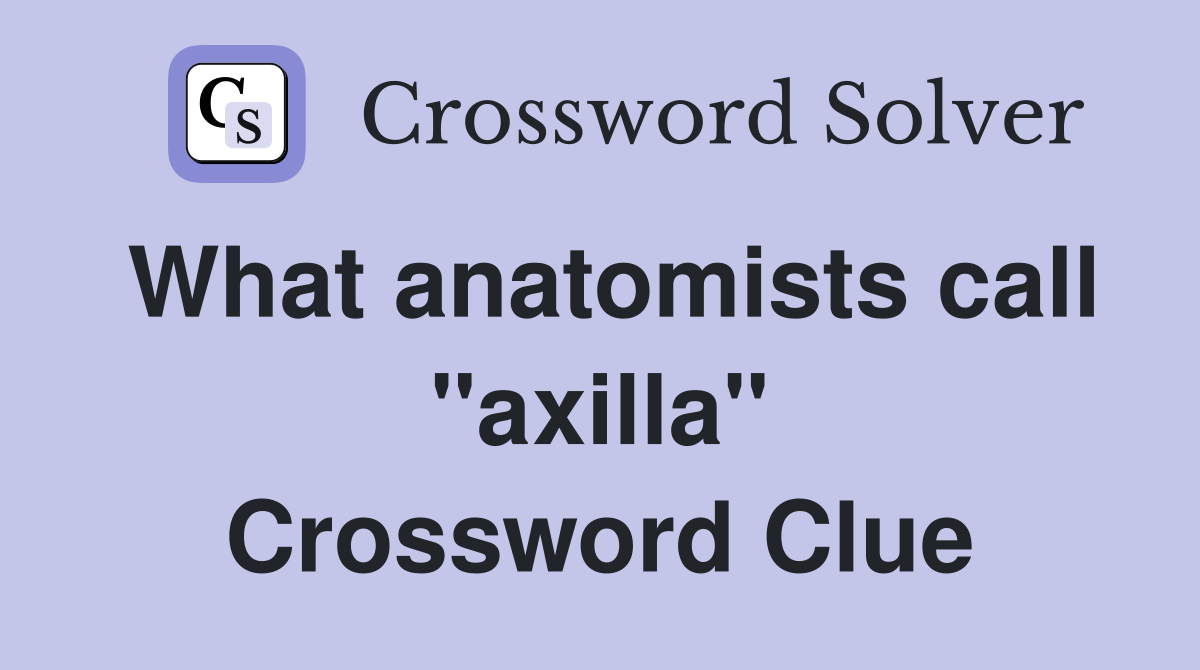 What anatomists call "axilla" Crossword Clue