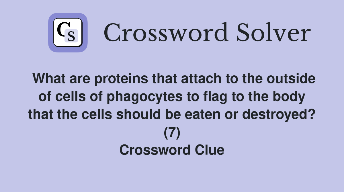 What are proteins that attach to the outside of cells of phagocytes to flag to the body that the cells should be eaten or destroyed? (7) Crossword Clue