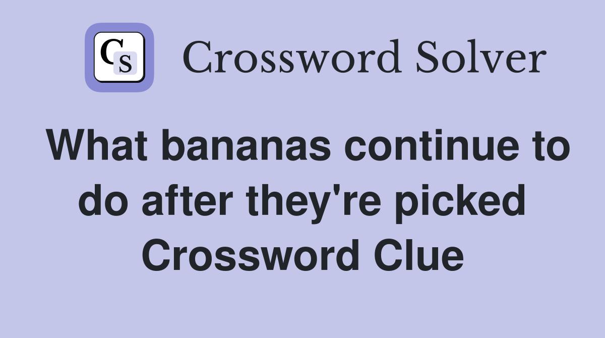 What bananas continue to do after they're picked Crossword Clue