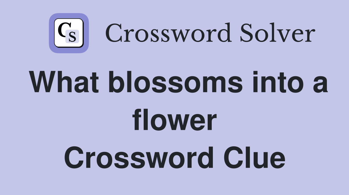 What blossoms into a flower Crossword Clue