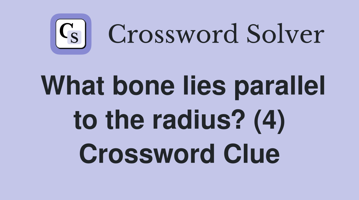 What bone lies parallel to the radius? (4) Crossword Clue