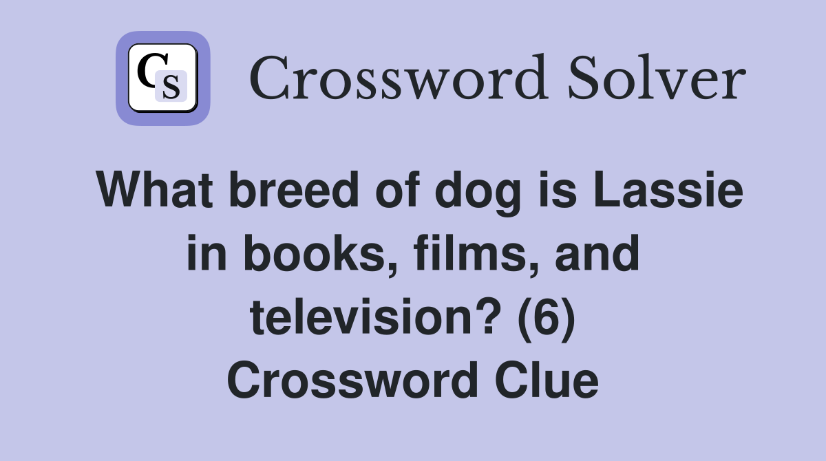 What breed of dog is Lassie in books, films, and television? (6) Crossword Clue