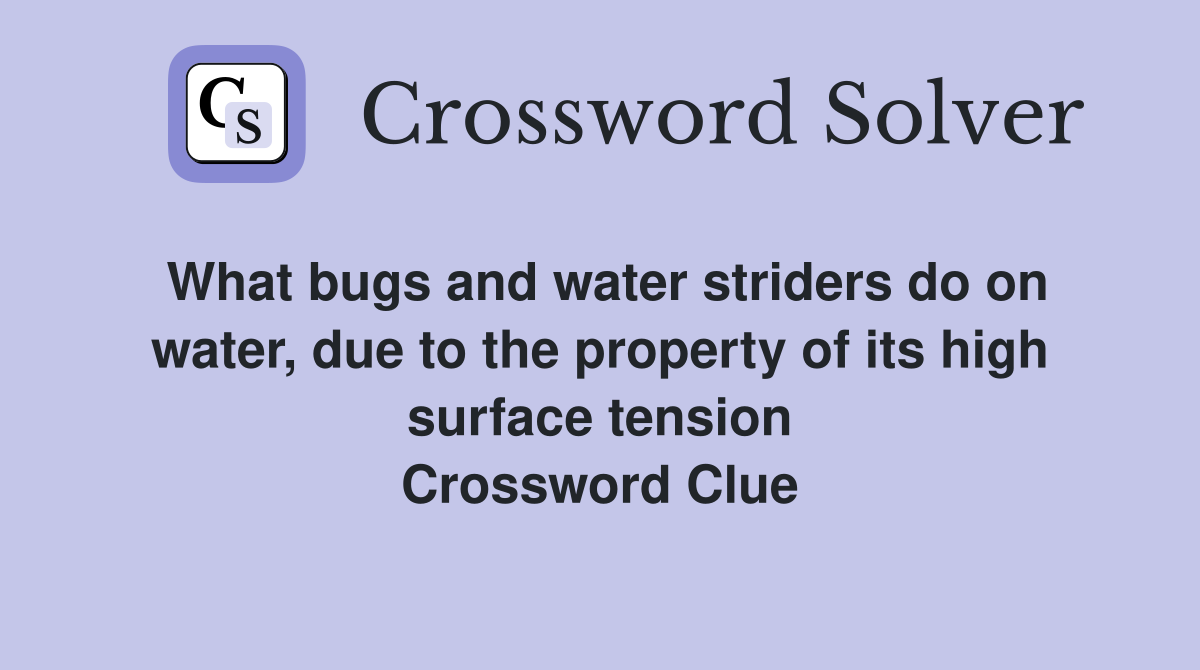 What bugs and water striders do on water, due to the property of its high surface tension Crossword Clue