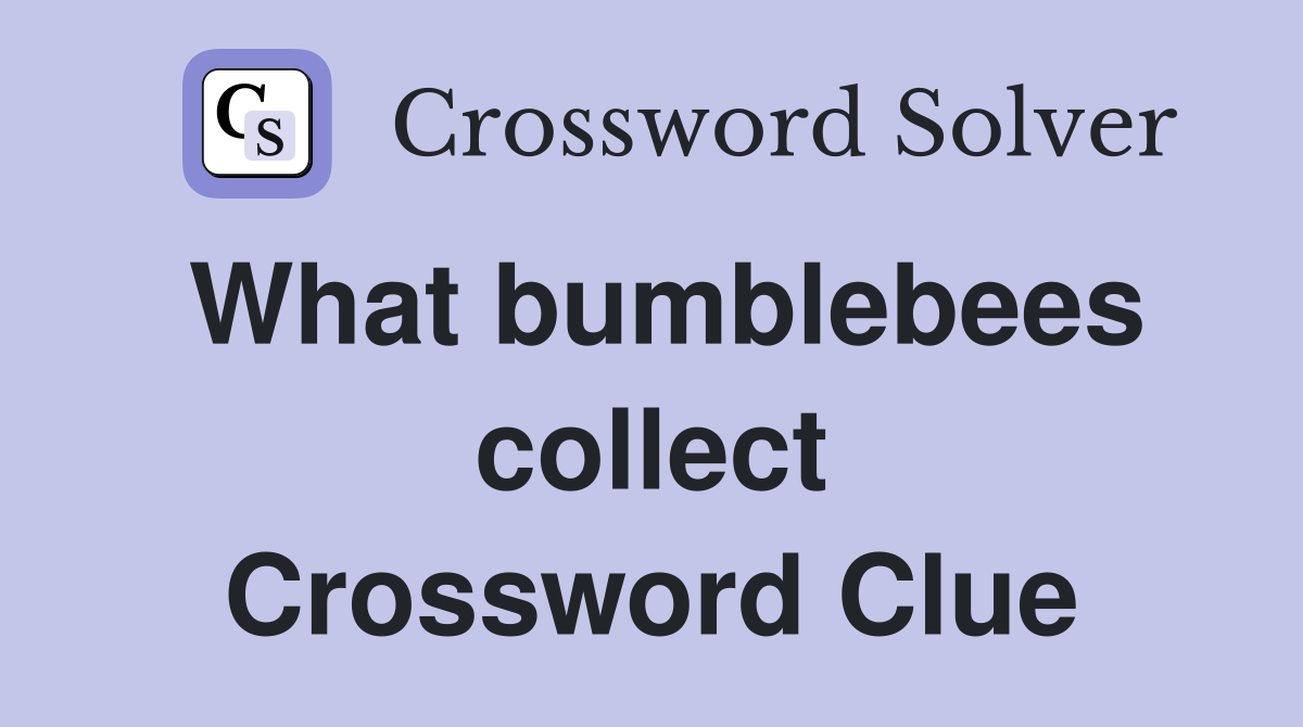 What bumblebees collect Crossword Clue