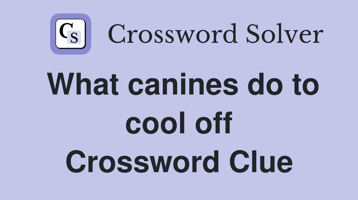 What canines do to cool off Crossword Clue