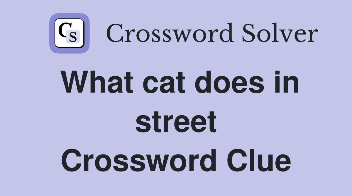 What cat does in street Crossword Clue