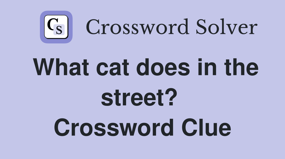 What cat does in the street?  Crossword Clue