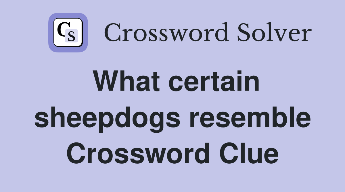 What certain sheepdogs resemble Crossword Clue