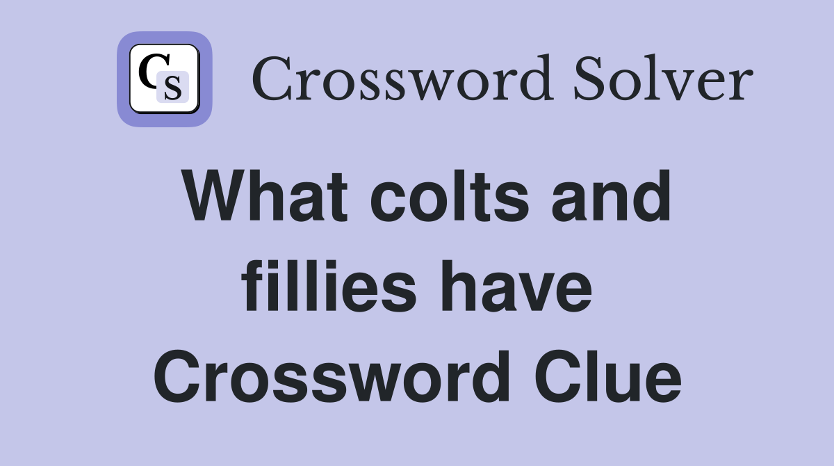 What colts and fillies have Crossword Clue