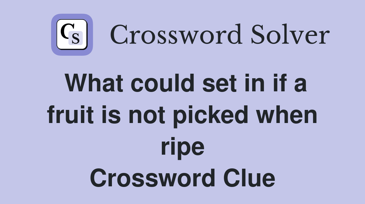 What could set in if a fruit is not picked when ripe Crossword Clue