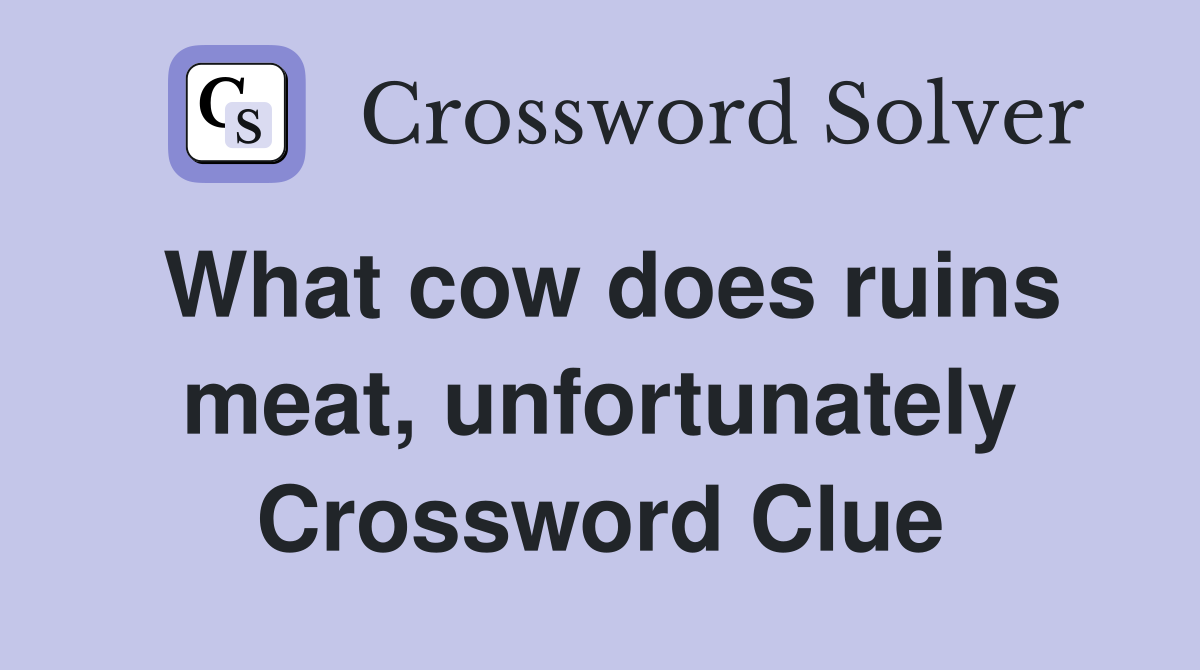 What cow does ruins meat, unfortunately Crossword Clue