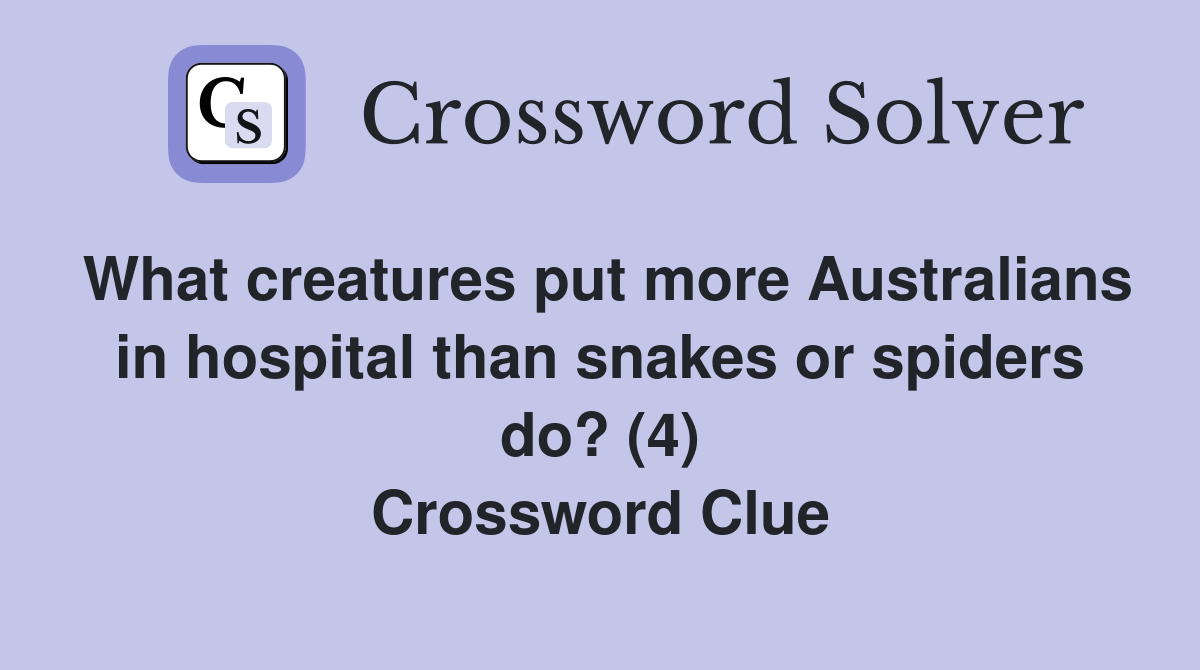What creatures put more Australians in hospital than snakes or spiders do? (4) Crossword Clue