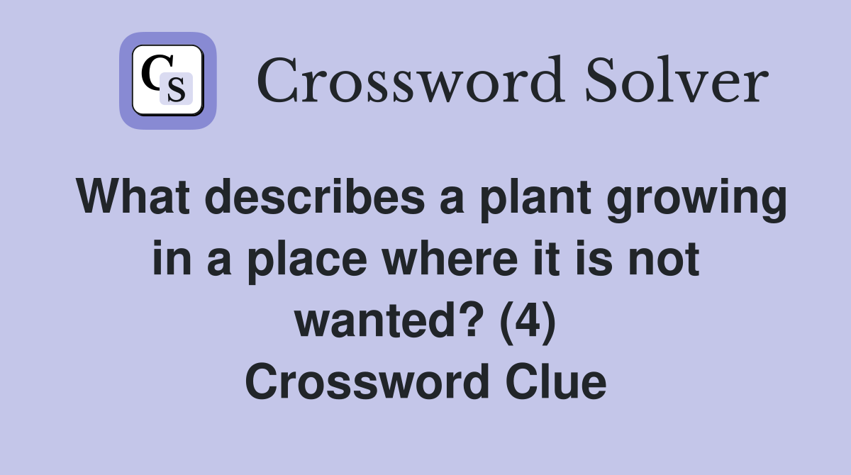 What describes a plant growing in a place where it is not wanted? (4) Crossword Clue