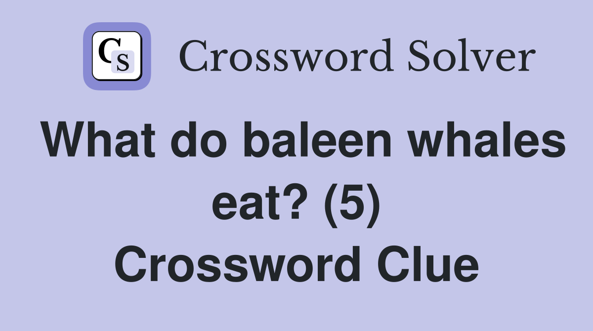 What do baleen whales eat? (5) Crossword Clue