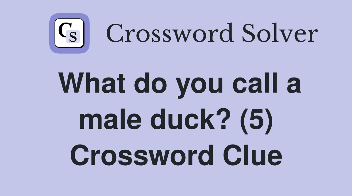 What do you call a male duck? (5) Crossword Clue