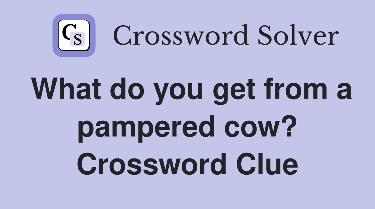 What do you get from a pampered cow? Crossword Clue