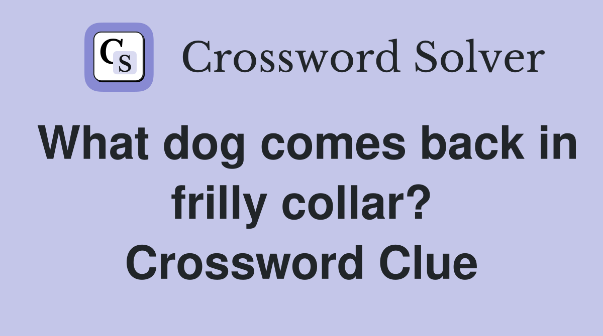 What dog comes back in frilly collar? Crossword Clue