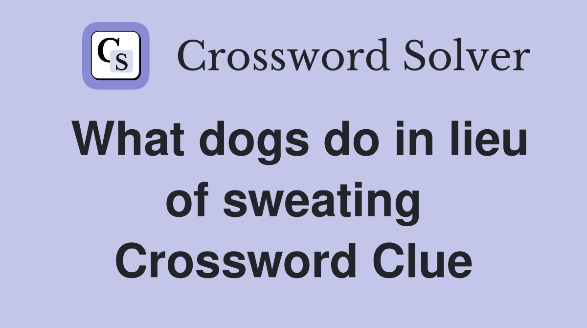 What dogs do in lieu of sweating Crossword Clue