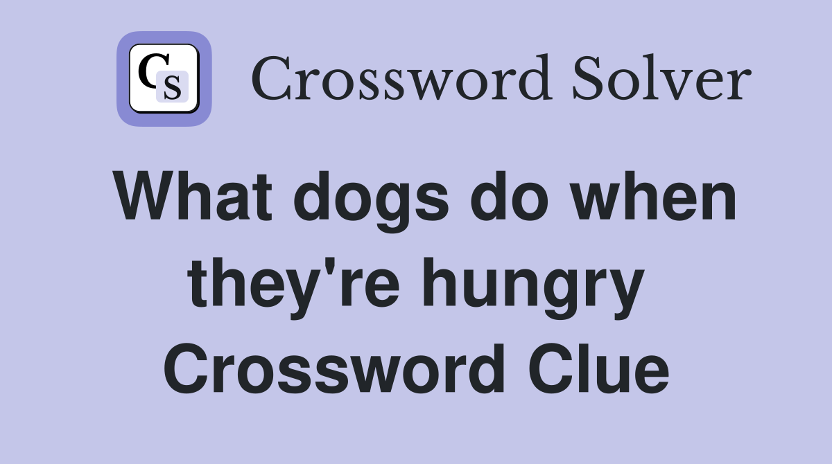 What dogs do when they're hungry Crossword Clue