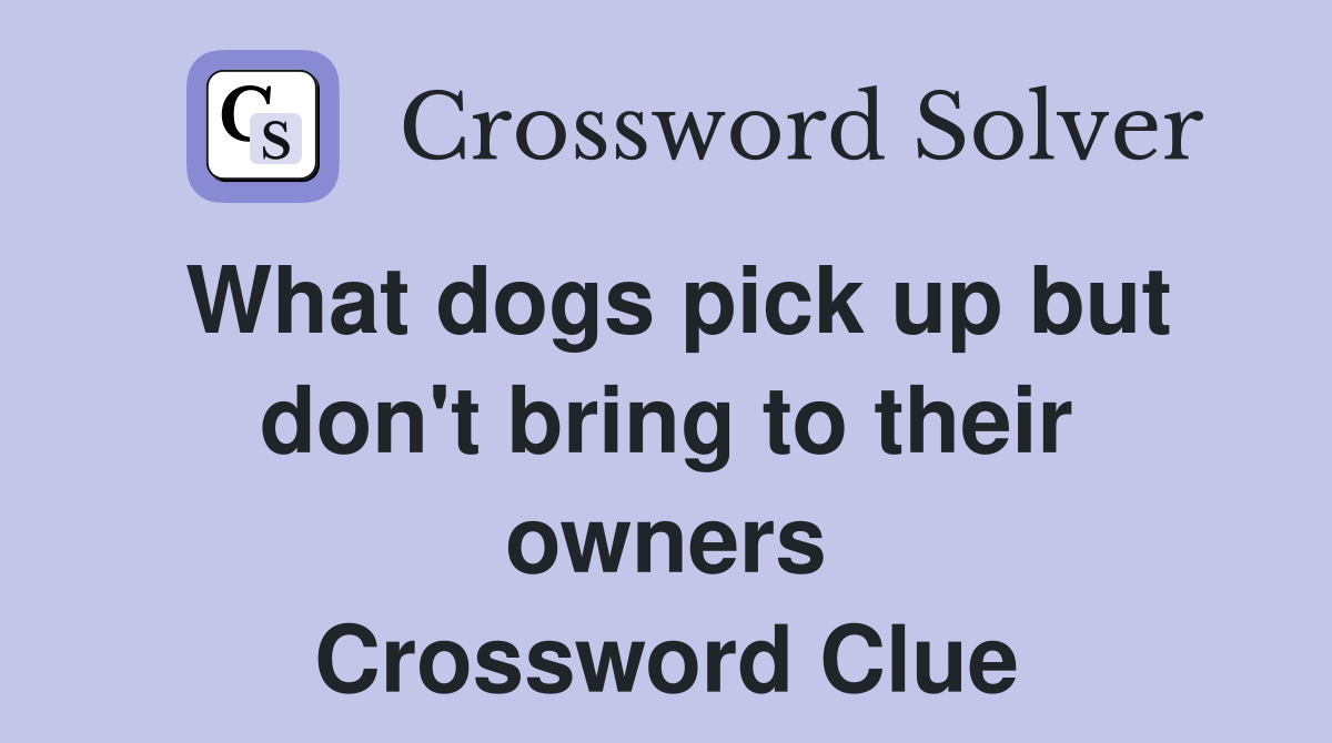 What dogs pick up but don't bring to their owners Crossword Clue