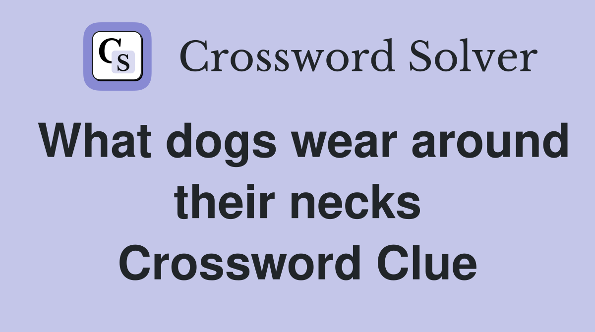 What dogs wear around their necks Crossword Clue