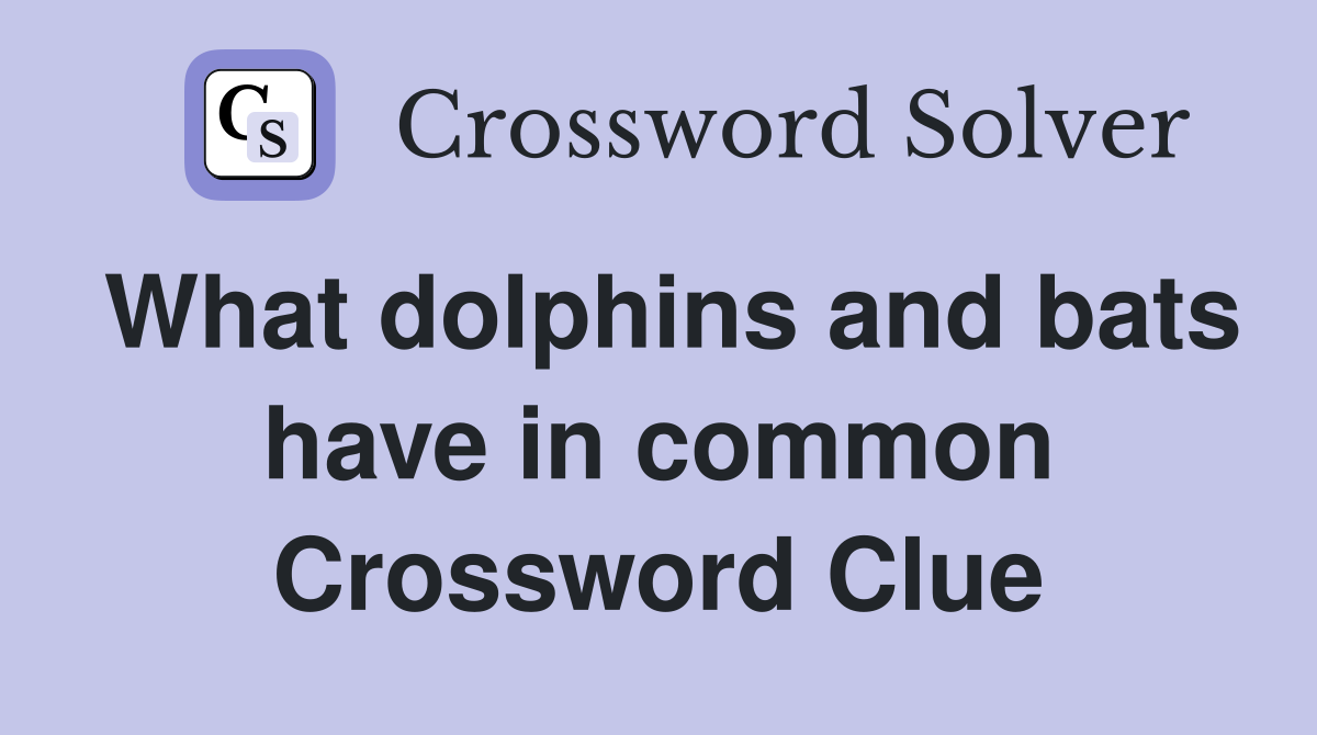 What dolphins and bats have in common Crossword Clue