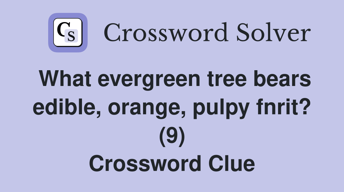 What evergreen tree bears edible, orange, pulpy fnrit? (9) Crossword Clue