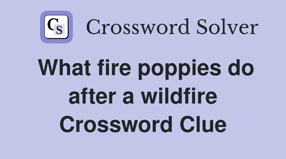 What fire poppies do after a wildfire Crossword Clue